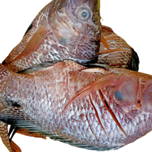 FRESH TILAPIA