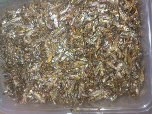 FRIED OMENA – READY TO STEW